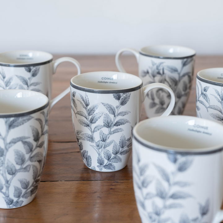 Set 6 Mugs de Porcelana Coihue