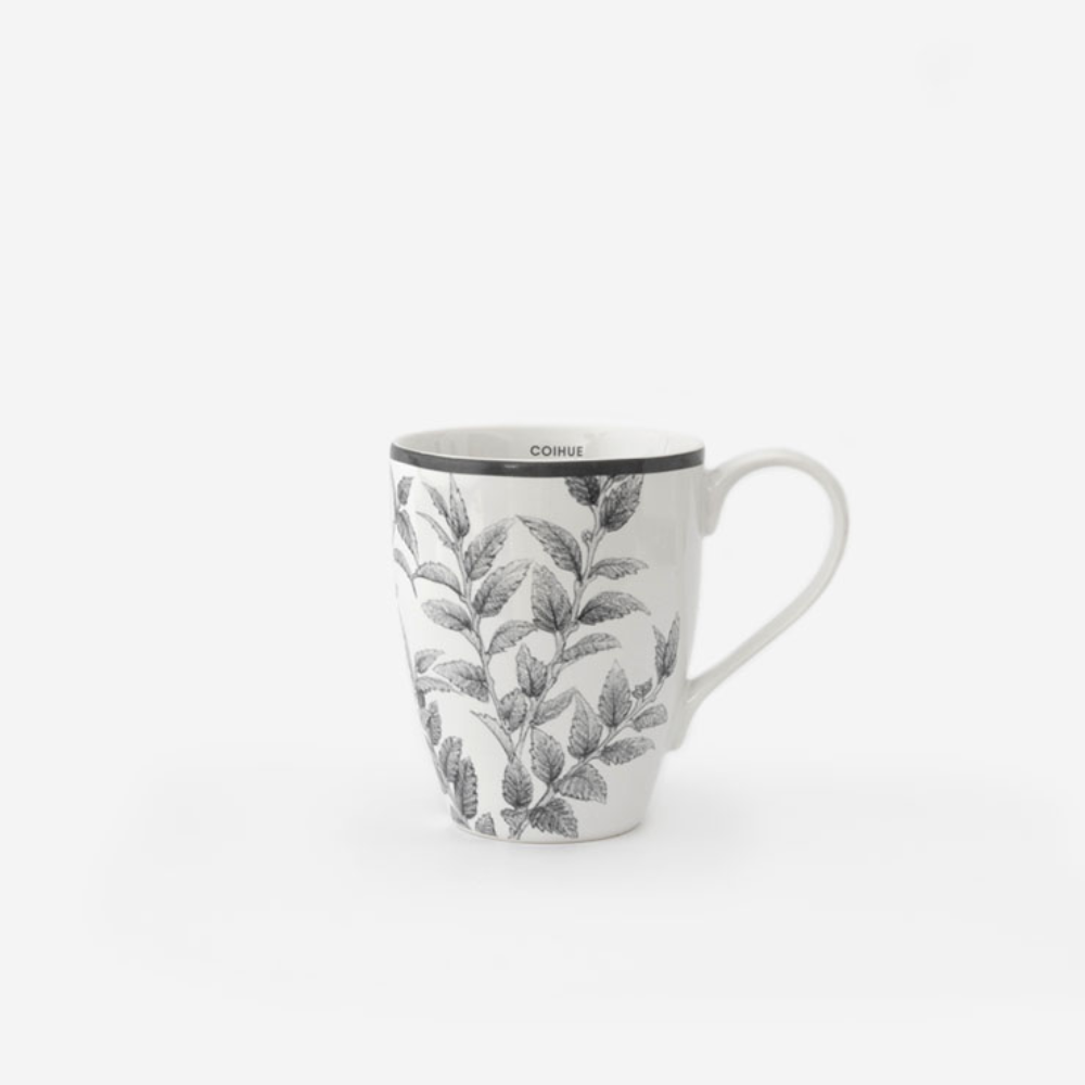 Set 6 Mugs de Porcelana Coihue